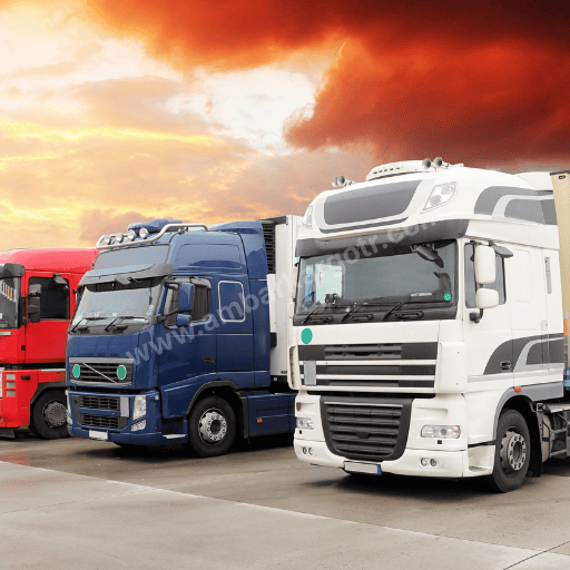 Polateli Ambar Kargo